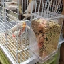 Thumbnail No Mess Bird Cage Feeder with Perch — Smart Bird Feeder, Hamiledyi