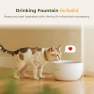 Thumbnail Smart Automatic Cat Feeder and Water Fountain — Automatic Pet Feeder, ARENTI