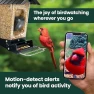 Thumbnail Solar Powered Smart Bird Feeder with Camera — Smart Bird Feeder, Perky-Pet