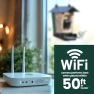 Thumbnail Solar Powered Smart Bird Feeder with Camera — Smart Bird Feeder, Perky-Pet
