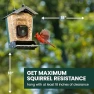 Thumbnail Solar Powered Smart Bird Feeder with Camera — Smart Bird Feeder, Perky-Pet