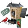 Thumbnail Solar Powered Smart Bird Feeder with Camera — Smart Bird Feeder, Perky-Pet