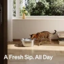 Thumbnail Stainless Steel Cat Water Fountain — Cat Water Fountain, PETLIBRO