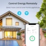 Thumbnail Smart Plug Mini, 15A Energy Monitoring, WiFi & Bluetooth Outlet — Smart Plug