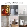 Thumbnail 16A WiFi Dual Smart Outlet Plug with 2 Independent Control Sockets — Smart Plug, RODOT