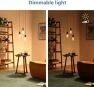 Thumbnail Smart Color ST19 Color Filament LED Smart Bulb 4-Pack — Smart Light Bulb, Philips
