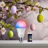 Thumbnail Smart Light Bulb — Smart Light Bulb, ZMFUTY