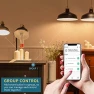 Thumbnail Smart WiFi Alexa Light Bulb, LED RGB Color Changing Bulbs — Smart Light Bulb, Peteme