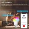 Thumbnail Smart WiFi Alexa Light Bulb, LED RGB Color Changing Bulbs — Smart Light Bulb, Peteme