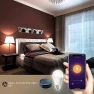 Thumbnail Smart WiFi Alexa Light Bulb, LED RGB Color Changing Bulbs — Smart Light Bulb, Peteme