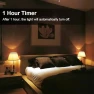 Thumbnail A60 Smart Light Bulb with Remote Control — Smart Light Bulb, GRV
