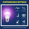 Thumbnail Smart Light Bulbs 50W Equiv., G16.5 A15 RGBCW — Smart Light Bulb, Lightinginside
