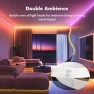 Thumbnail Double Row RGB Strip Lights 100FT — LED Strip Lights, RITOAO