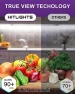 Thumbnail LED Strip Lights, Cool White 5000K, 16.4ft High Density — LED Strip Lights, HitLights