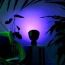 Thumbnail Smart Flood Light Bulb PAR38 — Smart Light Bulb, LIFX