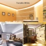 Thumbnail Tunable White LED Strip Light — LED Strip Lights, Lepro