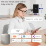 Thumbnail Smart Light Switch 1 Button, Black — Smart Switch, TOZENVAN
