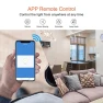 Thumbnail Smart Light Switch 2 Gang WiFi — Smart Switch, Milfra