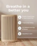 Thumbnail Air Purifier - 3-In-1 Filtration for Dust, Smoke, & More — Air Purifier, Windmill