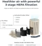 Thumbnail Air Purifier - 3-In-1 Filtration for Dust, Smoke, & More — Air Purifier, Windmill