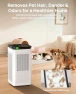 Thumbnail Air Purifier for Home Large Rooms up to 3500 sq ft — Air Purifier, SIESEAN