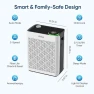 Thumbnail Air Purifiers for Home Large Room — Air Purifier, AirHub