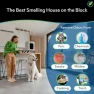 Thumbnail iAdaptAir 2.0 H13 HEPA Filter Air Purifier — Air Purifier, Air Oasis