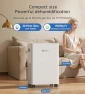Thumbnail 1500 Sq Ft Dehumidifier with Drain Hose & Smart Control — Dehumidifier, inetra