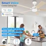 Thumbnail 52" Smart Ceiling Fan with Lights — Smart Fan, Lorpies