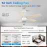 Thumbnail 52" Smart Ceiling Fan with Lights — Smart Fan, Lorpies