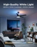 Thumbnail Ceiling Fan with Lights — Smart Fan, Govee
