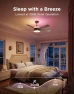 Thumbnail Ceiling Fan with Lights — Smart Fan, Govee
