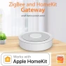 Thumbnail Dual-Mode Gateway – Smart Home Hub — Smart Home Hub, Tuya