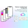 Thumbnail WiFi RGB+CCT LED Controller — LED Strip Lights
