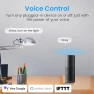 Thumbnail Smart Wi-Fi Plug — Smart Plug, GHome Smart