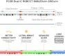 Thumbnail Dual IC RGBCCT LED Strip Light with Bluetooth Control — LED Strip Lights, BTF-LIGHTING