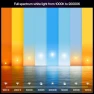 Thumbnail Smart LED Bulb (2-Pack) - White and Color Ambiance — Smart Light Bulb, Philips