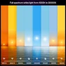 Thumbnail Smart LED Bulb - White & Color Ambiance (3 Pack) — Smart Light Bulb, Philips