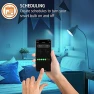 Thumbnail Smart RGBW Bulb - 2 Pack — Smart Light Bulb, Energizer