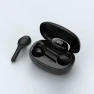 In-Ear, Noise Cancelling