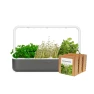 Thumbnail Big “Steak Seasoning” Kit — Indoor Garden, Click & Grow