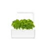 Thumbnail Indoor garden — Indoor Garden, Click & Grow