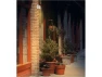 Thumbnail Outdoor Network Camera — Security Camera, Hanwha