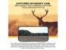 Thumbnail Mitigator 2.0 cellular camera combo — Digital Cameras & Camcorders, Muddy Outdoors