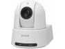 Thumbnail White Network Camera — Digital Cameras & Camcorders, Sony