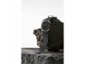 Thumbnail 47mm Titanium Silver Galaxy Watch Ultra — Smart Watch, Samsung