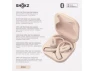 Thumbnail OpenFit True Wireless Earbuds — Wireless Earbuds, SHOKZ