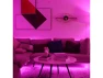 Thumbnail LED RGB Light Strip — LED Strip Lights, Yeelight
