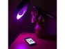 Thumbnail LED Smart Wireless Speaker and LED Lightbulb — Smart Light Bulb, Pchlife