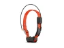 Thumbnail GPS Dog Tracking and Training Collar — Dog GPS Tracker, Garmin